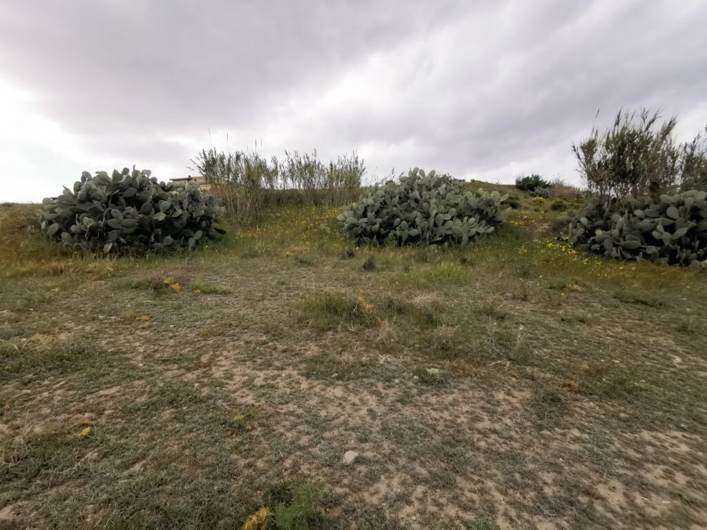 Terreno edificabile – Barracca Manna – immagine 2
