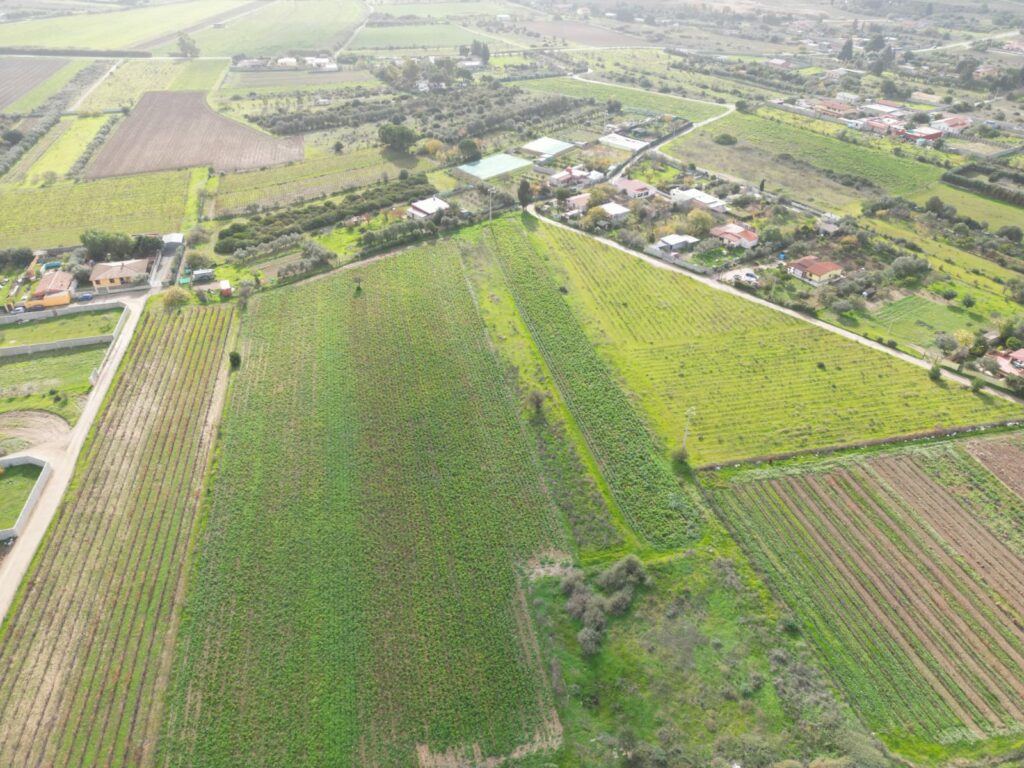 Terreno agricolo in Via Is Ammostus – 6.600 mq – immagine 2