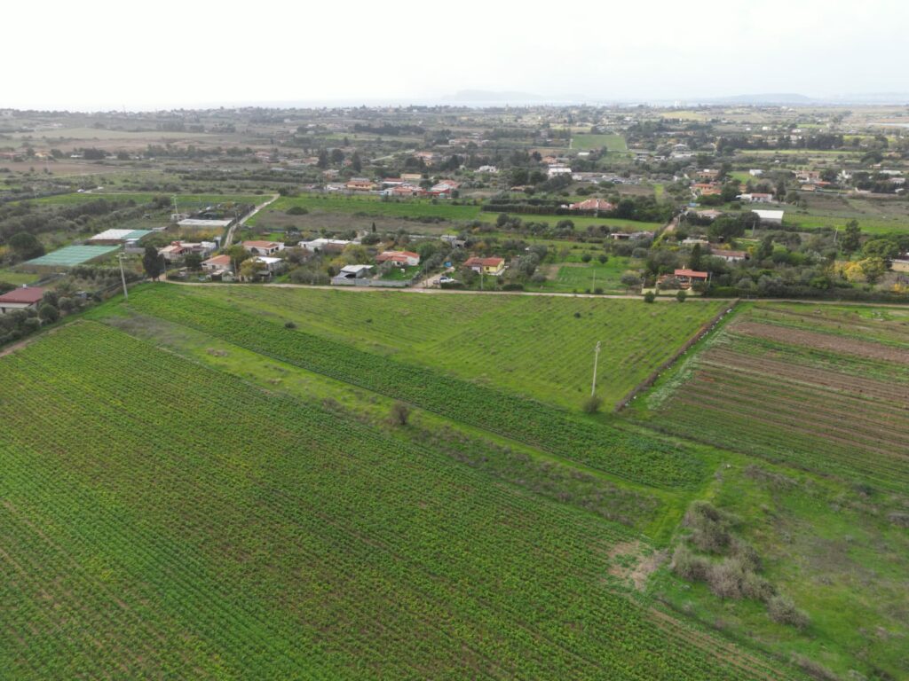 Terreno agricolo in Via Is Ammostus – 6.600 mq – immagine 5