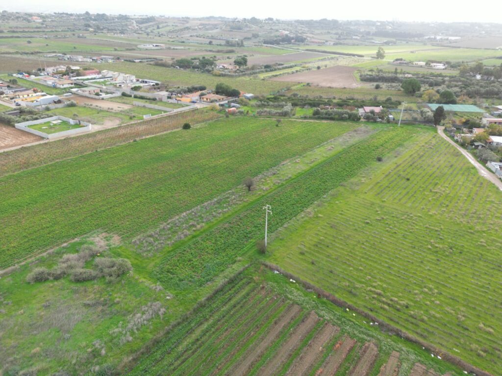 Terreno agricolo in Via Is Ammostus – 6.600 mq – immagine 4