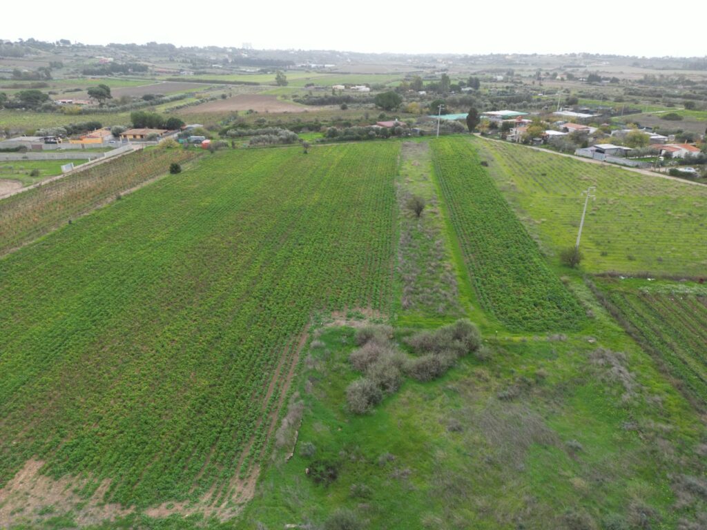 Terreno agricolo in Via Is Ammostus – 6.600 mq – immagine 6