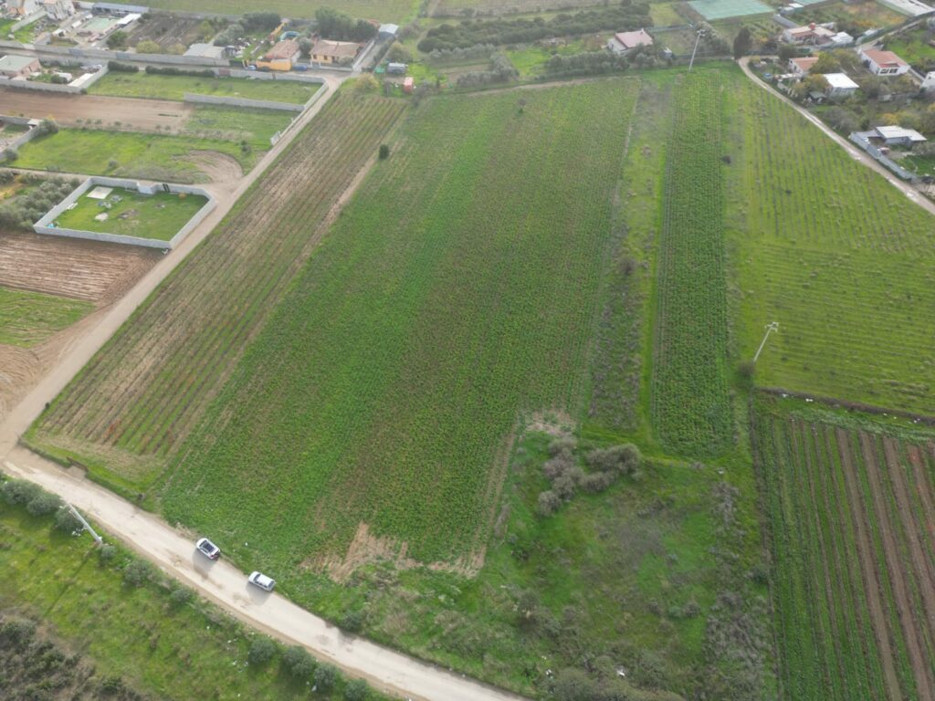 Terreno agricolo in Via Is Ammostus – 6.600 mq – immagine 7