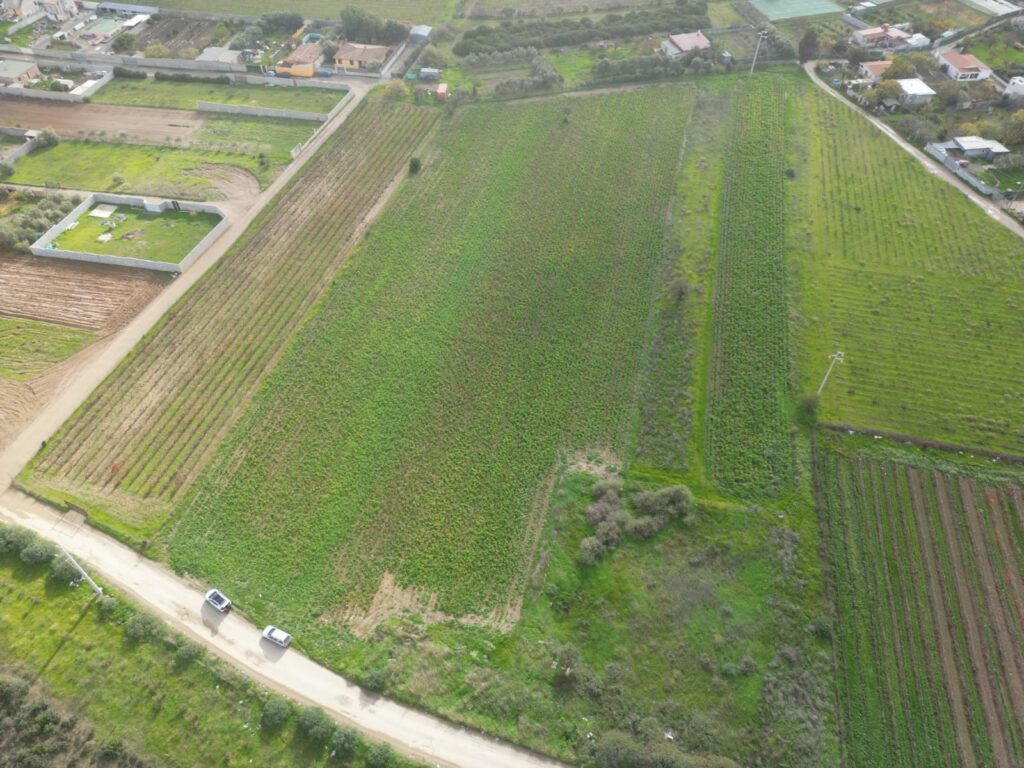 Terreno agricolo in Via Is Ammostus – 6.600 mq – immagine 9