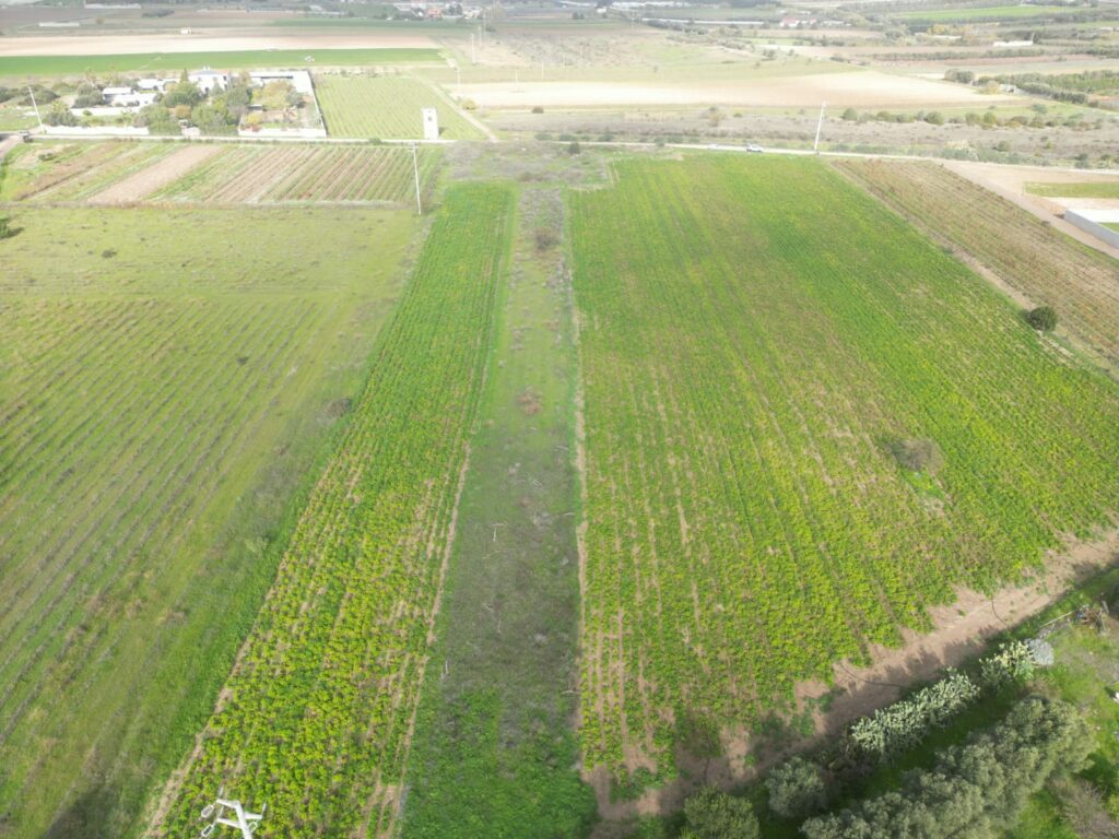 Terreno agricolo in Via Is Ammostus – 6.600 mq – immagine 8