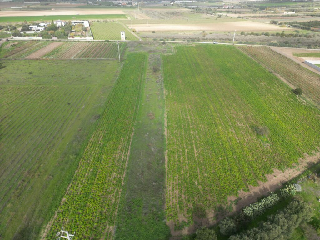 Terreno agricolo in Via Is Ammostus – 6.600 mq – immagine 10